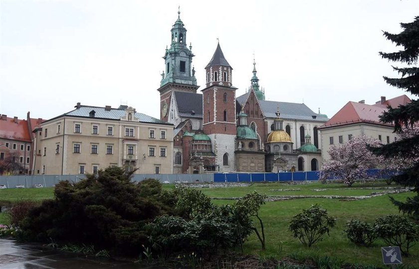 Nałęcz. Nie kładłbym prezydenta Lecha Kaczyńskiego obok Piłsudskiego