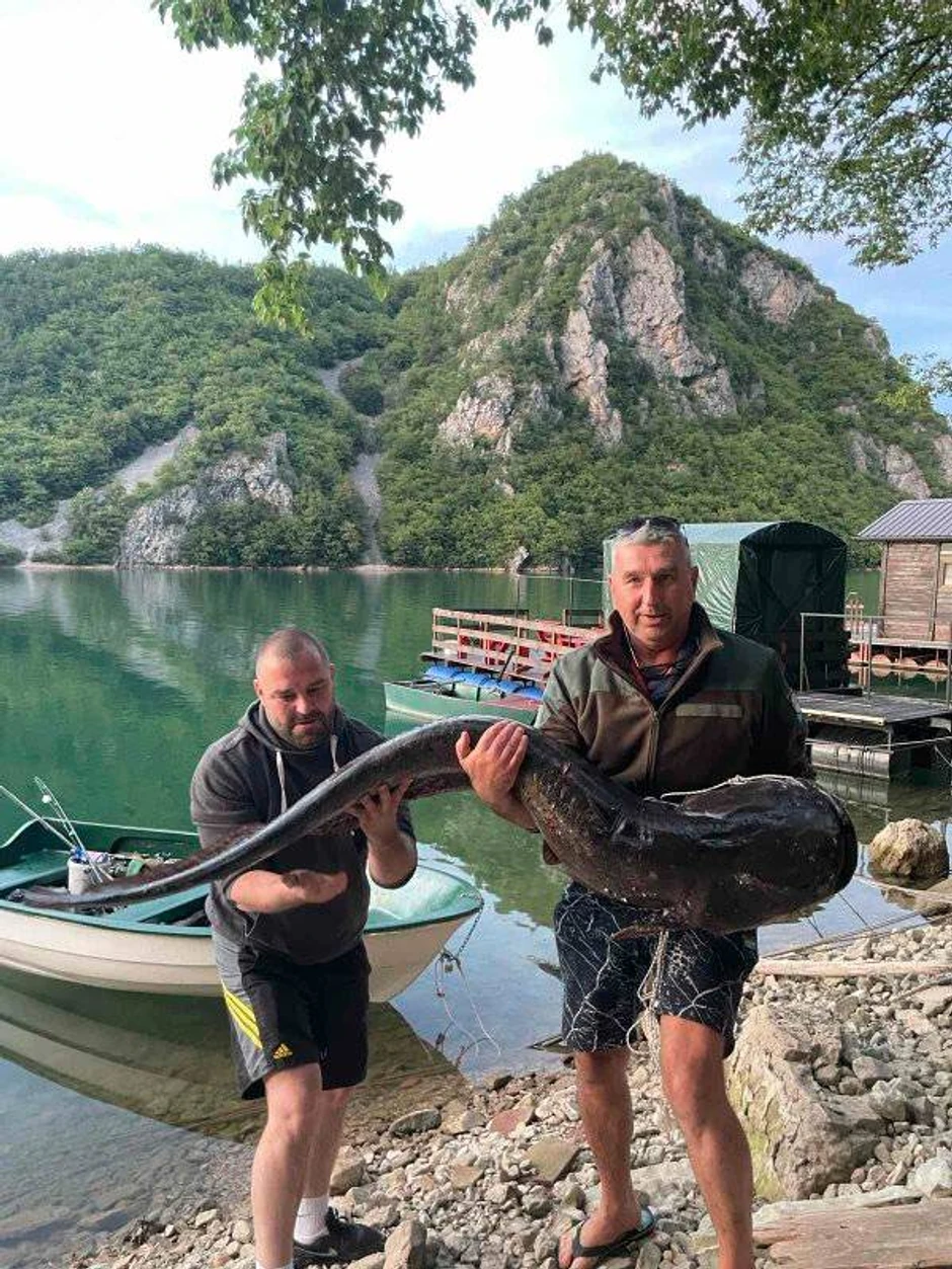 Tanasijevićev som je očišćen bio težak 58 kilograma