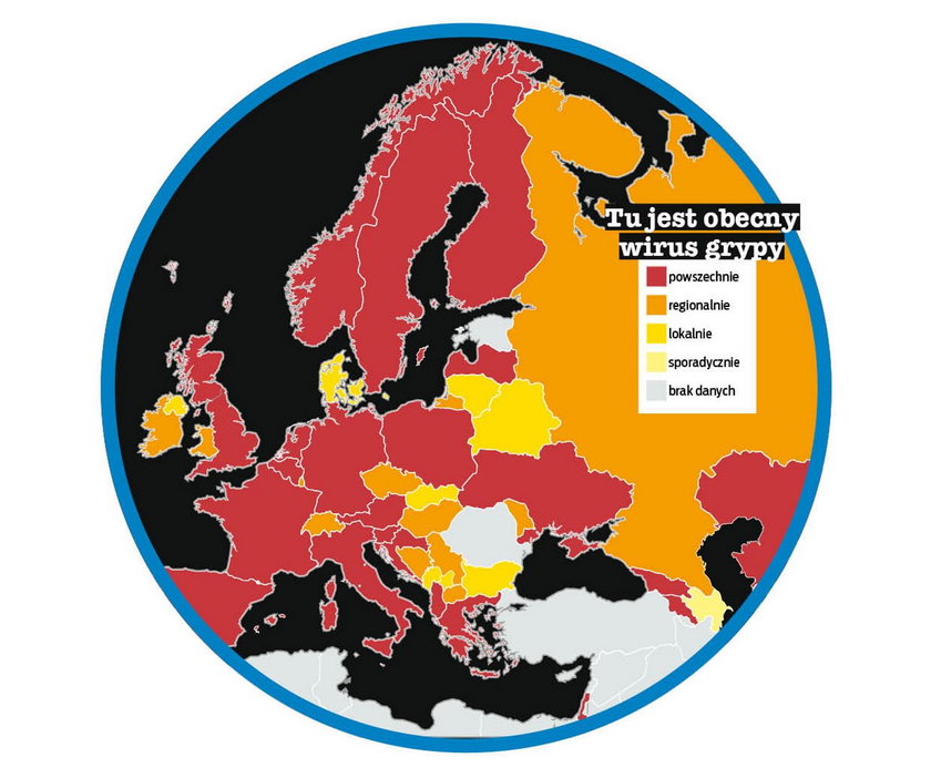 Wirus grypy rozprzestrzenił się powszechnie niemal w całej Europie