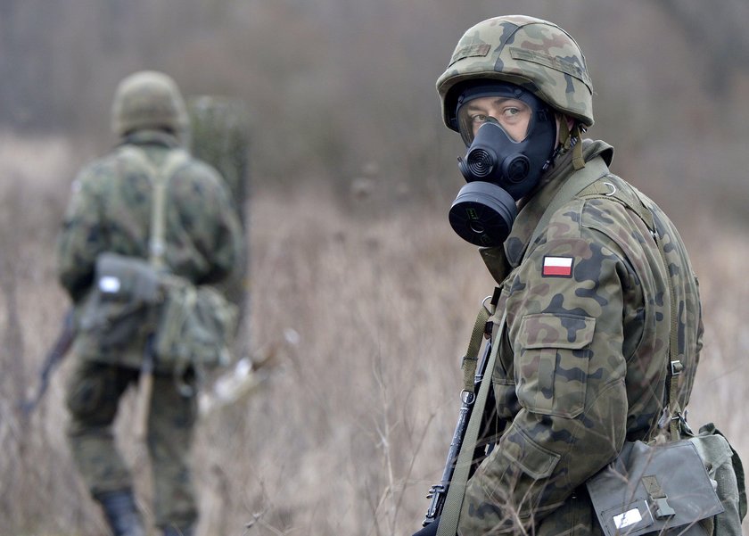 20 lat Wojska Polskiego w NATO. Co się zmieniło?