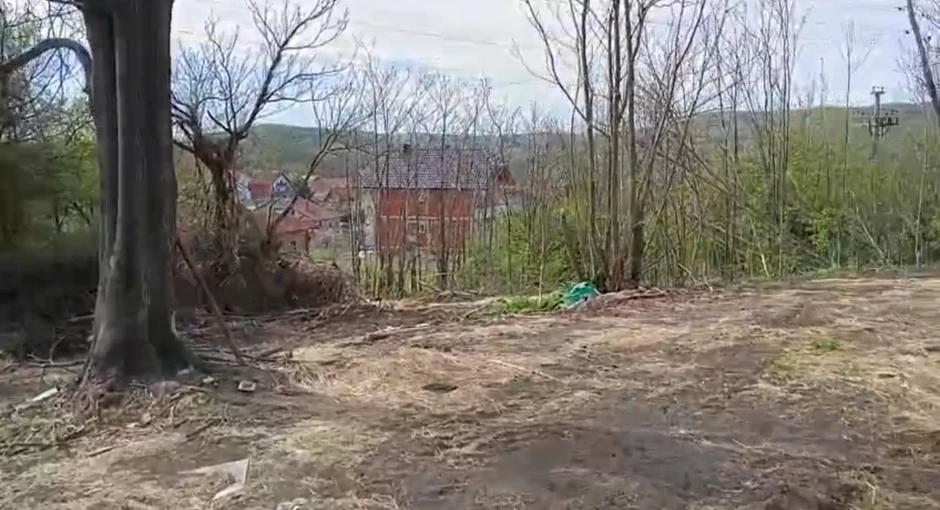 Put koji je prešla Danka Ilić na dan ubistva