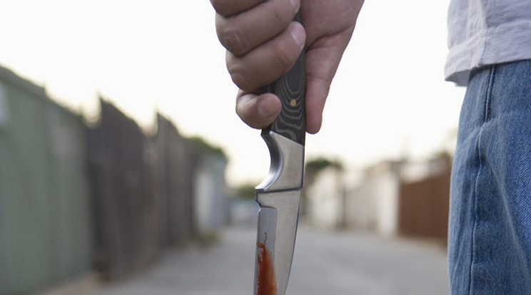 Késsel támadt a férfi /Fotó: Northfoto