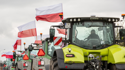 umowa ue–mercosur: niemcy zyskują, polscy rolnicy tracą – rząd „myje ręce” wobec kluczowej decyzji