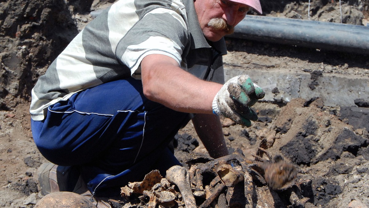 JAROSŁAW WYKOPALISKA ARCHEOLOGICZNE KOLEGIATA