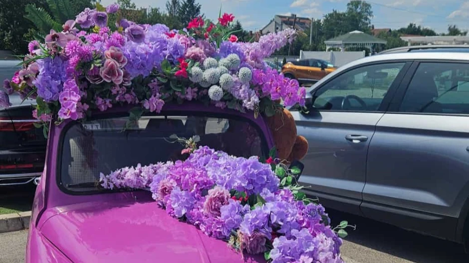 Ljubičasti fića je velika atrakcija u Novom Sadu