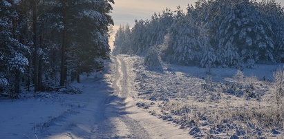 Zima się rozgościła. W prognozie: -23 stopnie. IMGW o pogodzie na 7 dni