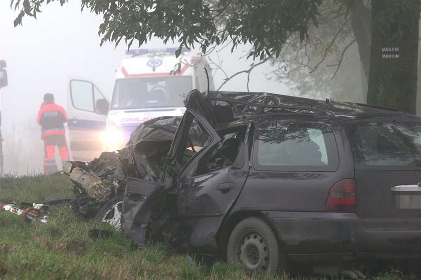 Masakra na drodze pod Toruniem. FOTO