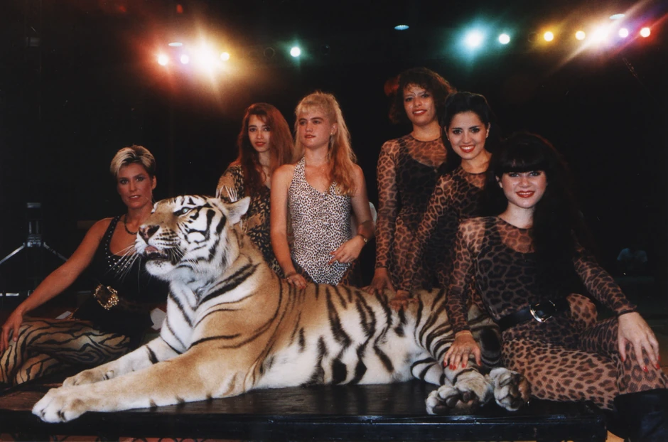 Žene i mačke Dok Antala