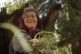 Porodica je 43 godine živela u šumi DALEKO OD CIVILIZACIJE: Deca nisu znala da drugi ljudi postoje, govore NEARTIKULISANOM JEZIKOM, a onda se saznala jeziva istina