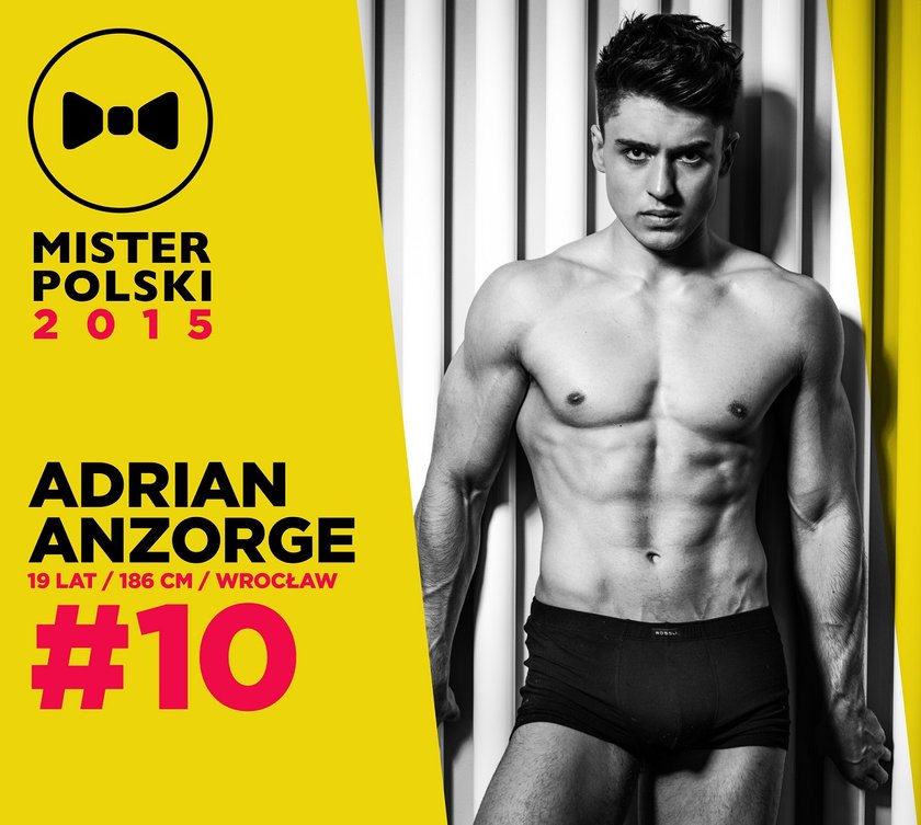 Mister Polski 2015