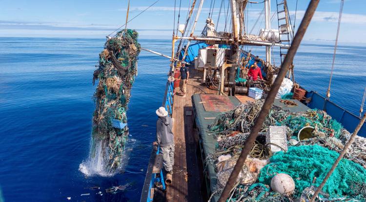 Műanyag halászat