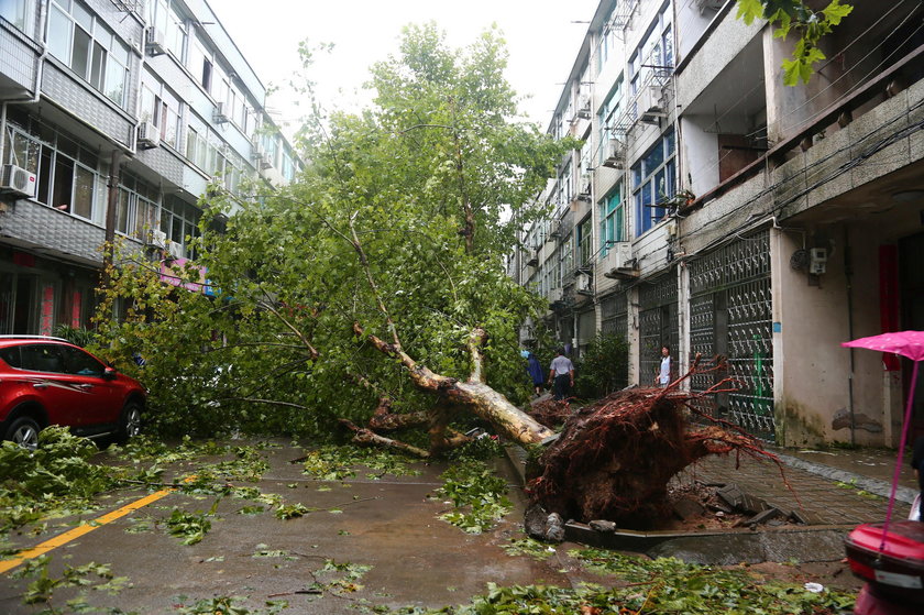 Cars are partially submerged in floodwaters after Typhoon Lekima hit Dajing town in Wenzhou, Zhejian