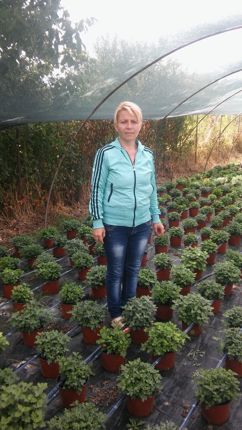 Prevareni cvećari: Tanja Petković, predsednica Udruženja "Cvet juga"