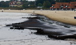 Cuchnące glony na plaży w Sopocie 