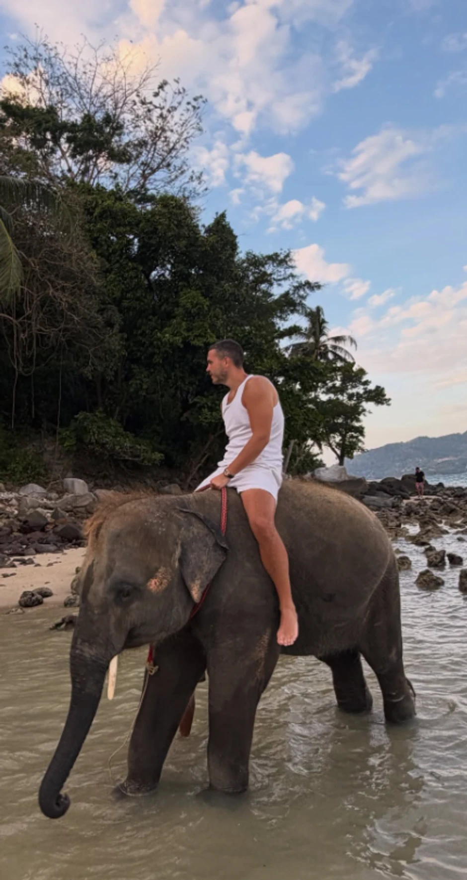 Viktor Živojinović