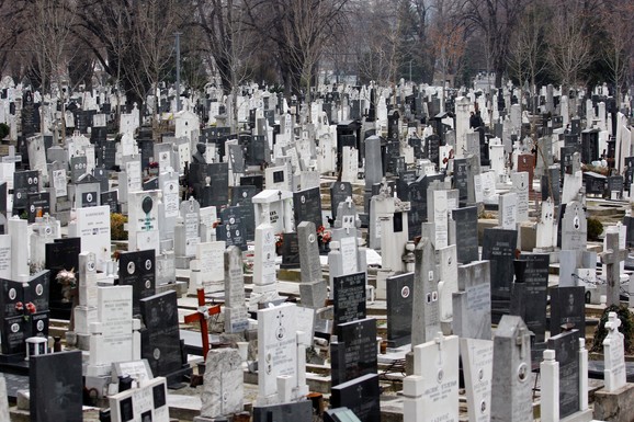 (FOTO) MRTVAČKA GLAVA I UKRŠTENE DVE KOSTI Misteriozni simbol na seoskom grobu kod Aleksinca otkriven slučajno, meštani u čudu