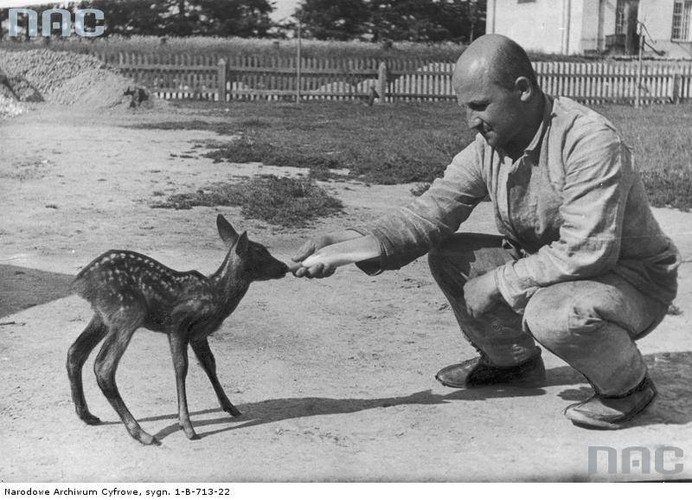 CIĘŻKIE WIĘZIENIA W PRZEDWOJENNEJ POLSCE