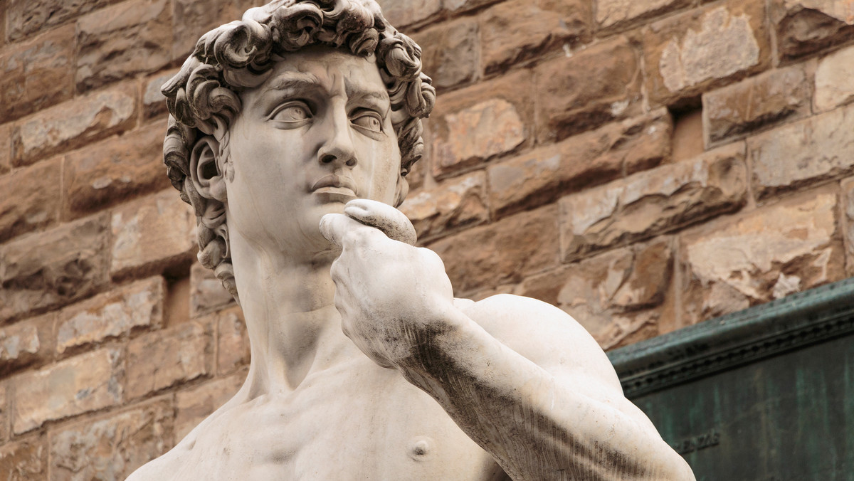 Całkowity zakaz wykorzystywania w celach komercyjnych wizerunku Dawida dłuta Michała Anioła we Włoszech i w Europie wydał w czwartek sąd we Florencji, gdzie znajduje się ten słynny posąg. Sąd przychylił się do wniosku przeciwko firmie Visit Today stosującej tę praktykę.