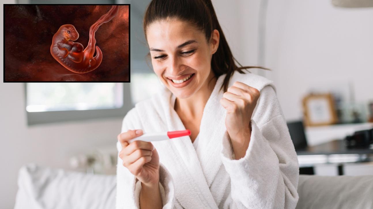 5. týždeň tehotenstva: Citlivejšie tehotenské testy potvrdia tehotenstvo,  ale... - Tehotenstvo | Najmama.sk