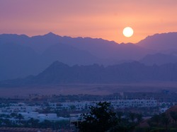 Rosyjskie służby: Katastrofa lotnicza na Synaju to był zamach