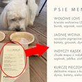 Menu brzmi apetycznie? Te dania nie są dla ludzi, nowy trend rozkwita