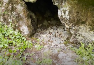 "Duvaljke" iz planine u Muotatalu u Švajcarskoj