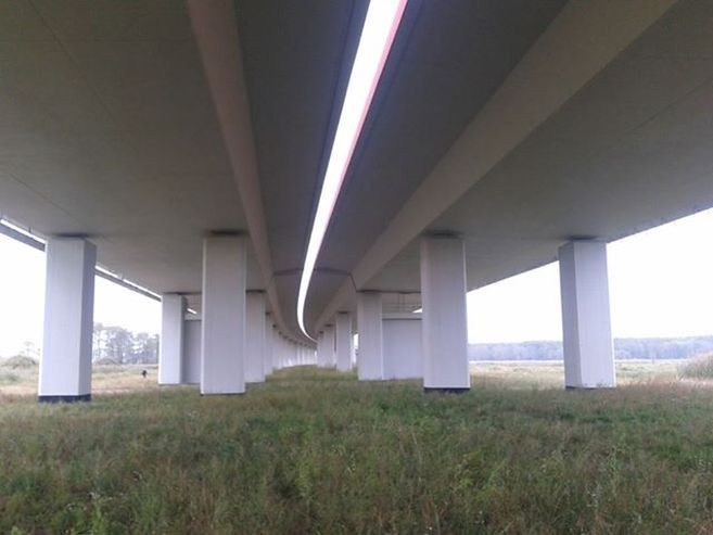 Autostrada A1, Piątek Wielki. Najdłuższa estakada w Polsce, która liczy sobie aż 1,7 km. Cena tej drogi to 117 mln zł za kilometr. Po co komu te dwie wyniesione na monumentalnych filarach autostradowe jezdnie, pod którymi rozciąga się dzika łąka? To pomnik GDDKiA dla ekologów, którzy wymusili na inwestorze przerzucenie ruchu nad chronionymi obszarami Natura 2000, a dokładnie nad tzw. pradoliną warszawsko-berlińską. Budowla ma nie przeszkadzać migrującym gatunkom zwierząt.
Estakada biegnie po łuku, bo w przeciwnych wypadku przecięłaby tereny siedliskowe rzadkich gatunków ptaków, np. orła bielika. Opiera się na palach o średnicy 1,5 metra, stojących na skale znajdującej się 12-25 metrów pod powierzchnią gruntu. Łączna długość pali to 30 km. Inwestycja odbywała się pod okiem inspektorów ochrony środowiska. Podczas budowy robotnicy przenieśli ponad 3 tys. migrujących żab. Fot. Konrad Majszyk