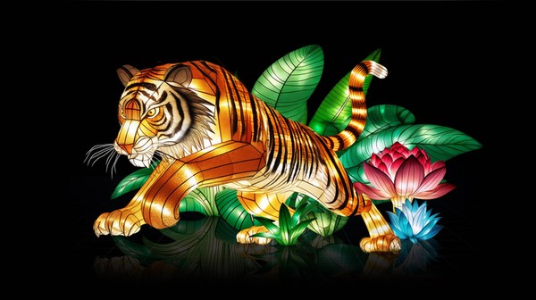 Dzięki wystawie Garden of Lights udało się zebrać środki na pomoc tygrysom na Sumatrze