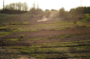 Prof. Spiak: w Polsce wapnowanie gleb jest konieczne