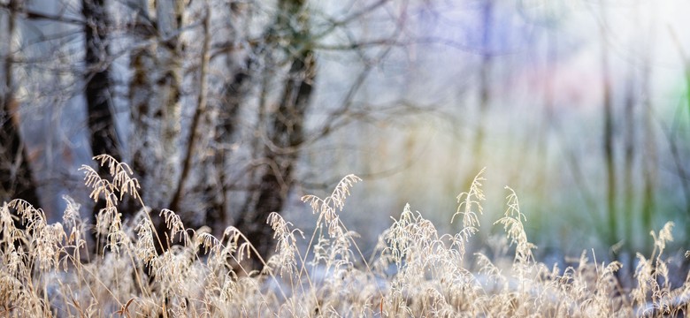 Kolejny chłodny dzień. Ciepło nadciąga jednak z niespodziewanego kierunku [PROGNOZA POGODY]