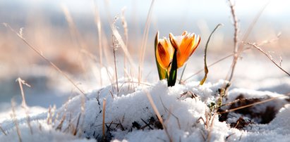 Ta prognoza pogody zapowiada przełom. Temperatura znacznie wzrośnie. Przecieraliśmy oczy ze zdumienia