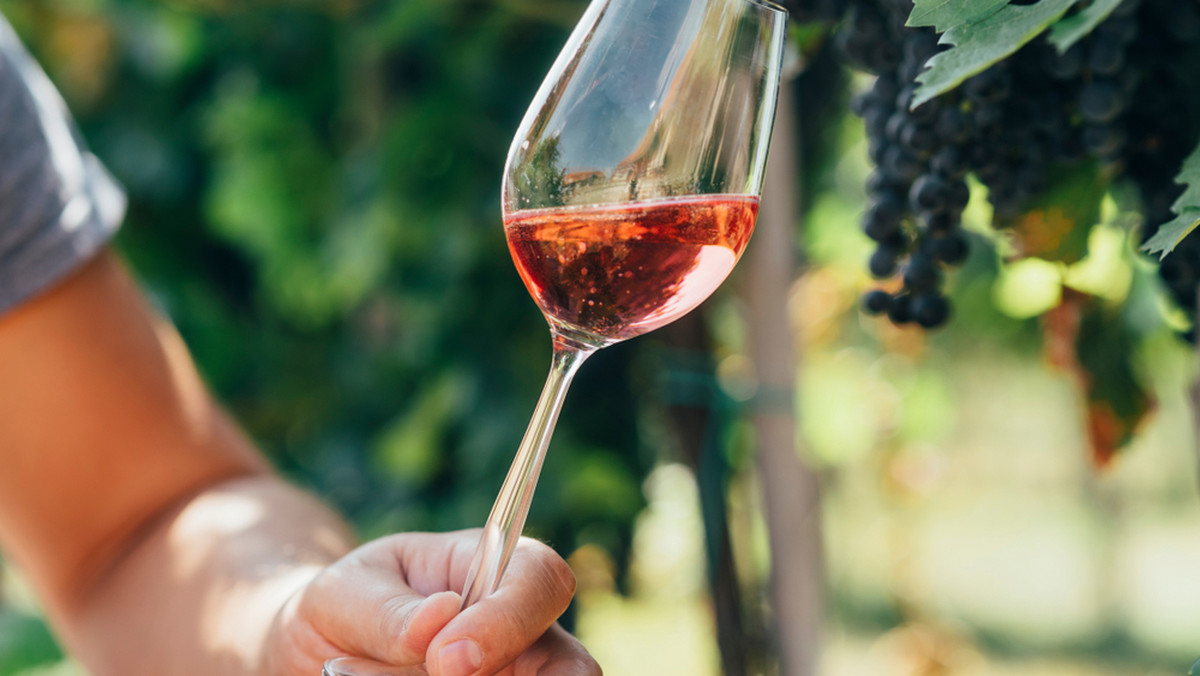 Francja kontra Włochy: kto jest największym producentem wina?
