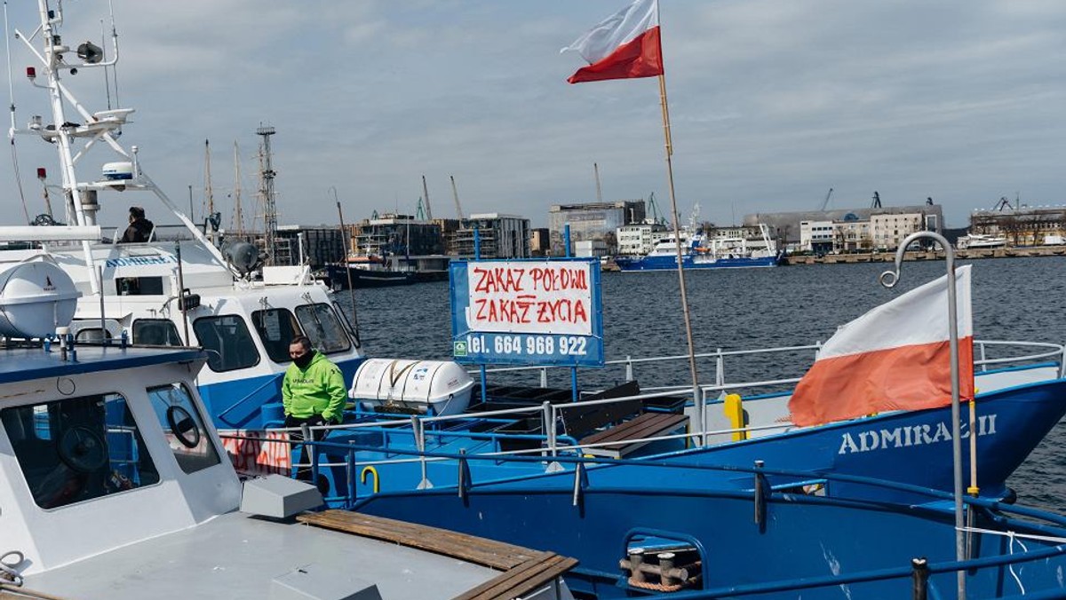 Armatorzy rybołówstwa rekreacyjnego blokują w sobotę drogę na wyjeździe z Władysławowa (Pomorskie) na Półwysep Helski. Protestujący przechodzą przez przejście dla pieszych i co kilkanaście minut przepuszczają samochody.