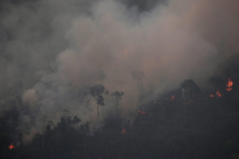 Pożar Amazonii. Płoną lasy deszczowe. Płuca świata zagrożone ogniem