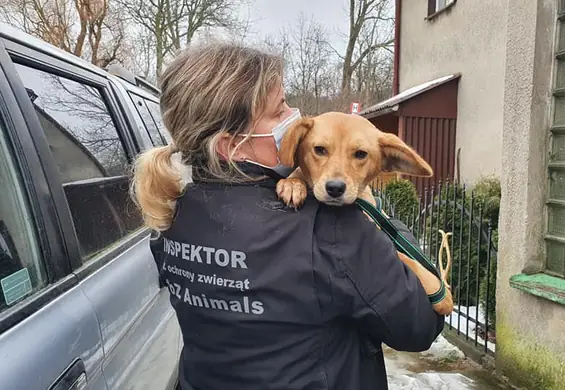 Dziś są szczęśliwe - nie uwierzysz, przez co przeszły te zwierzęta