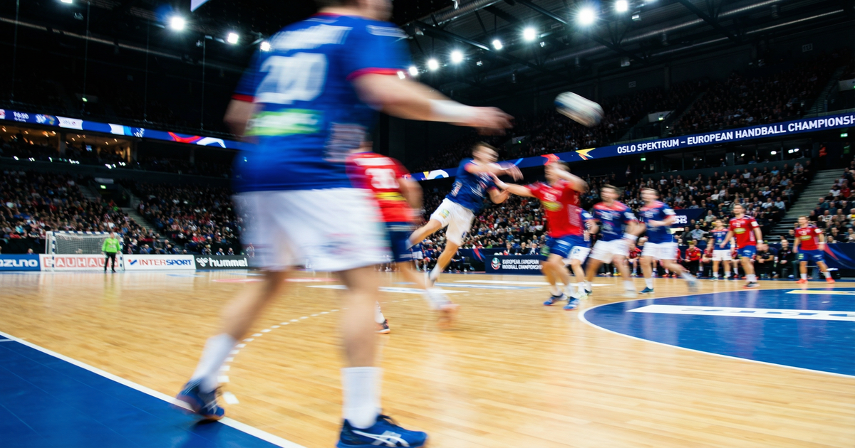 Euro-de-handball-Les-Bleus-crasent-l-Ukraine-46-26-qualification-en-vue