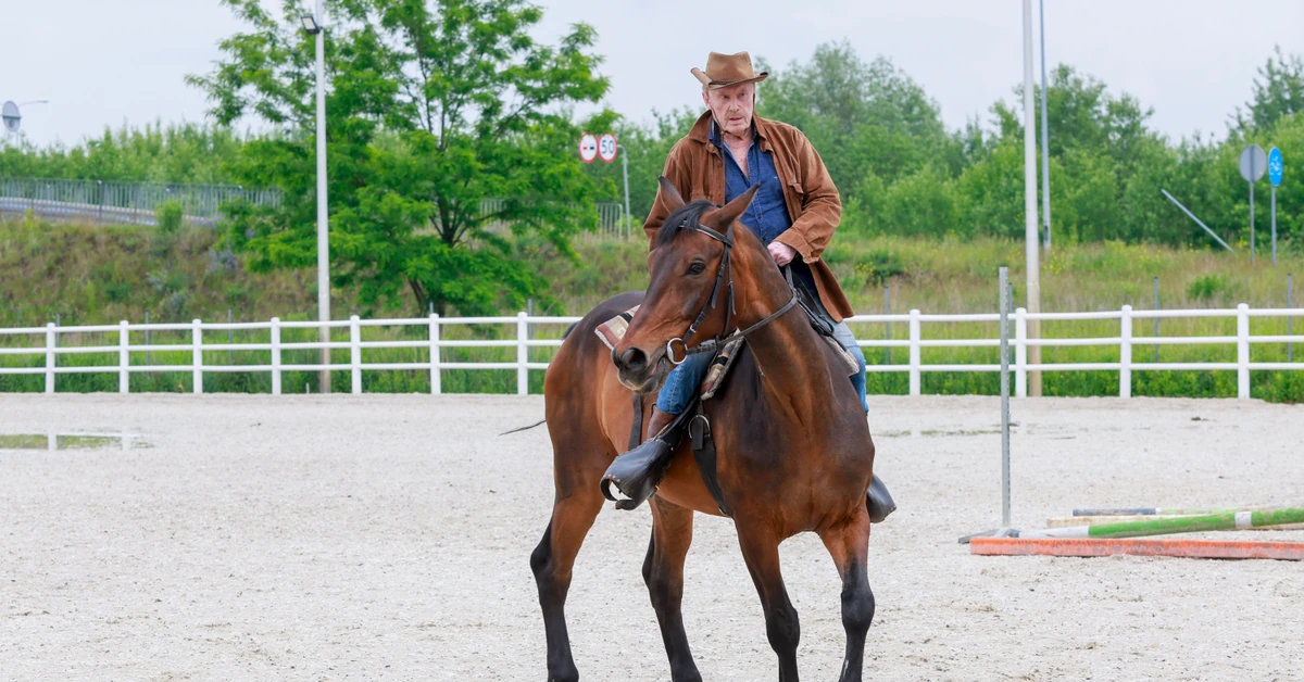 Daniel Olbrychski chodzi o kulach. Aktor jest po operacji