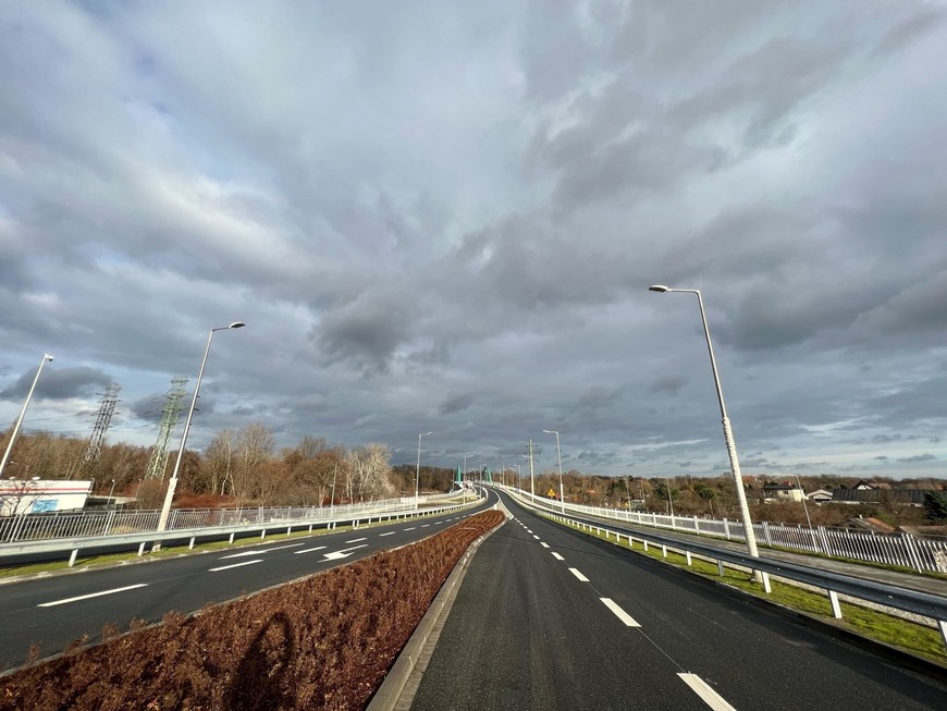 AWW okolice ulicy Krakowskiej. Przy trasie pojawi się ponad 50 tysięcy krzewów