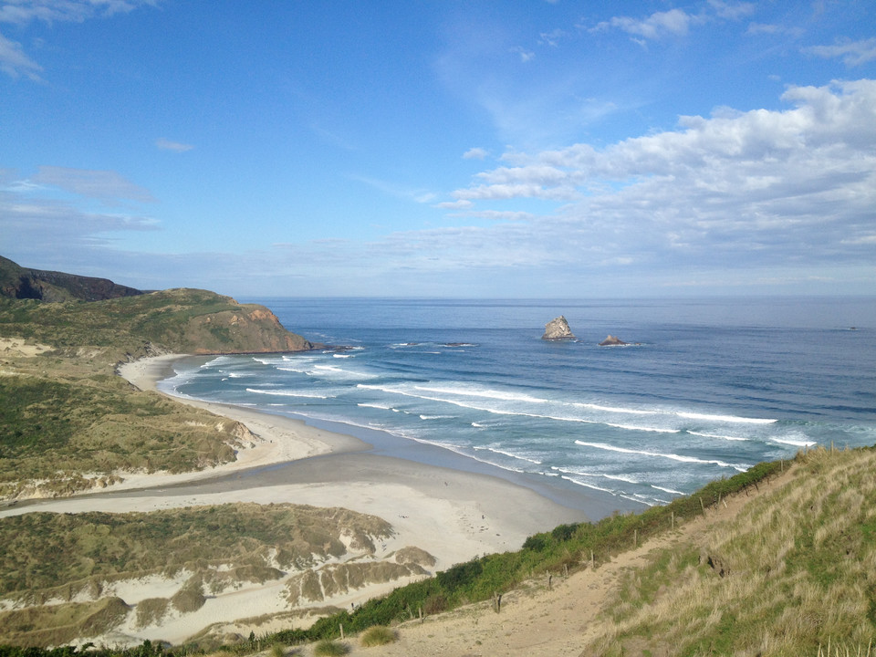 Sandfly Bay, okolice Dunedin