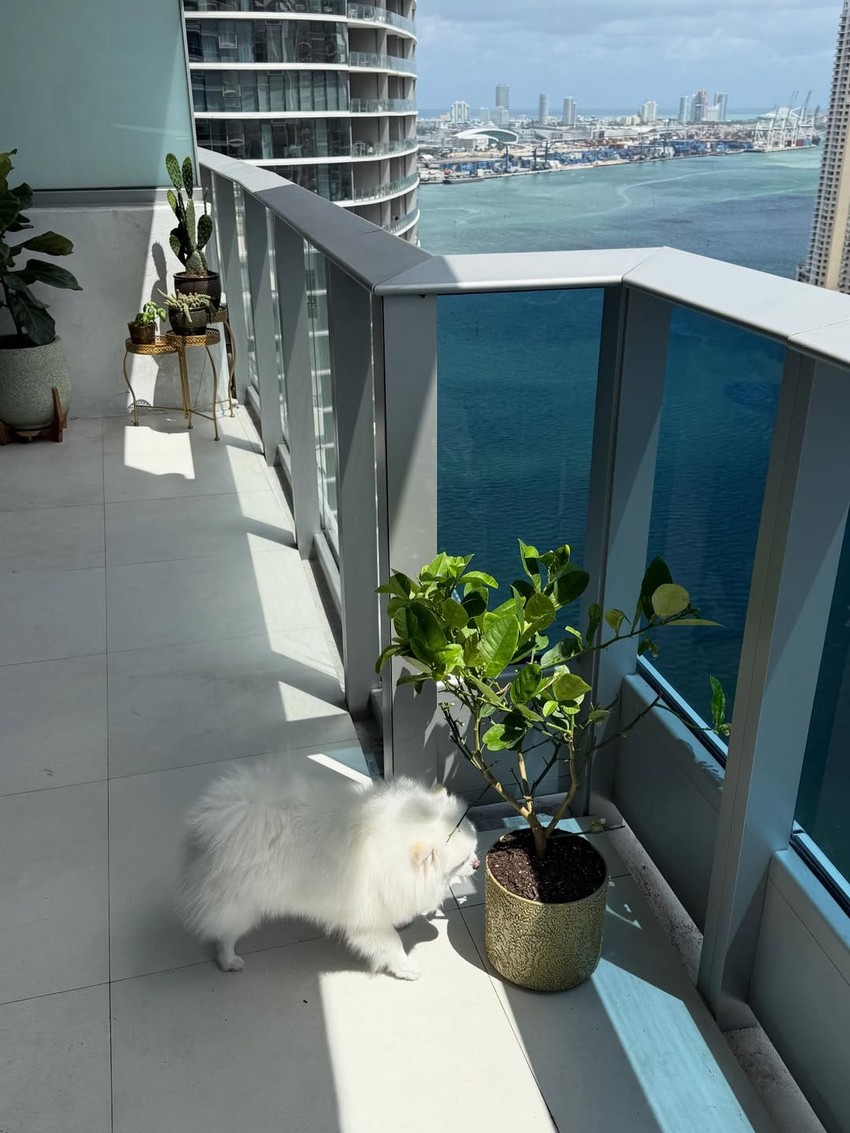 Ćerka Kaje Ostojić se oglasila sa Floride