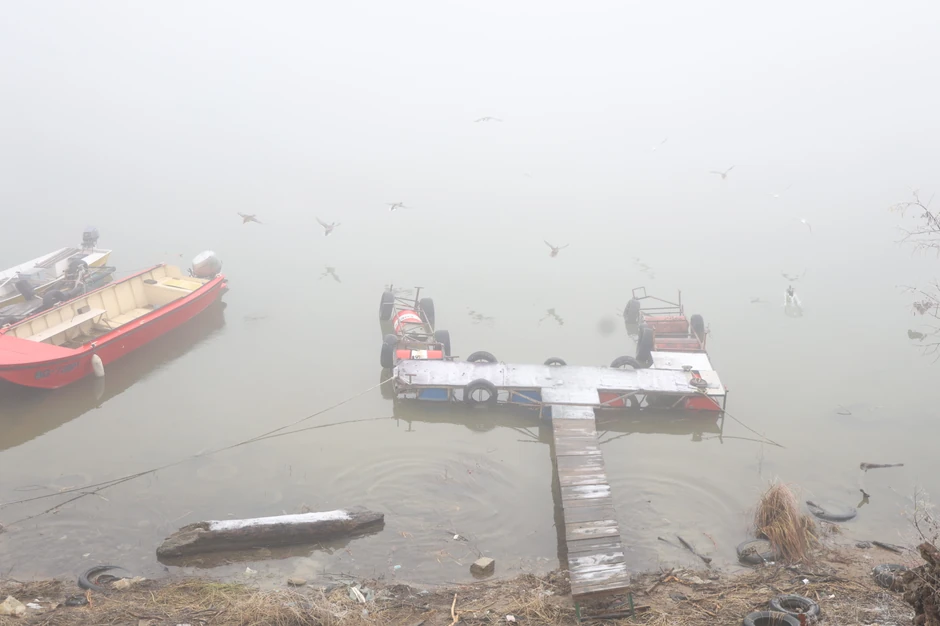 Mesto gde je nađeno telo Nemanje Žikića