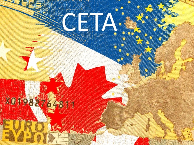 <strong>2. Europejskie rolnictwo nie ma szans w starciu z kanadyjskim modelem przemysłowym</strong>
<br><br>
CETA ma znieść 98 proc. barier celnych między UE a Kanadą, w tym 90 proc. barier na produkty rolne i doprowadzić do wzajemnego otwarcia rynków, co dla rynku europejskiego jest bardzo groźne. Wyjątki w liberalizacji rynku rolnego dotyczą m.in. mięsa wołowego, wieprzowiny, drobiu i serów, na które ustalono kwoty. Wejście w życie CETA może doprowadzić do zanikania małych gospodarstw rodzinnych, co najdotkliwiej odczują państwa, w których takie gospodarstwa stanowią podstawę rolnictwa. <br /><br />
CETA ułatwi rozwój i dominację rolnictwa przemysłowego opartego na masowym stosowaniu nawozów sztucznych, herbicydów, a także upraw (a z czasem również hodowli) GMO. Od 2015 roku Kanadyjczycy zezwalają na sprzedaż jabłek modyfikowanych genetycznie, a CETA pozwoli na zwiększenie ich eksportu do Europy, ponieważ obniżone zostaną cła wwozowe z 9 do 0 proc. <br /><br />