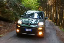 Fiat Panda 4x4: dzielny maluch