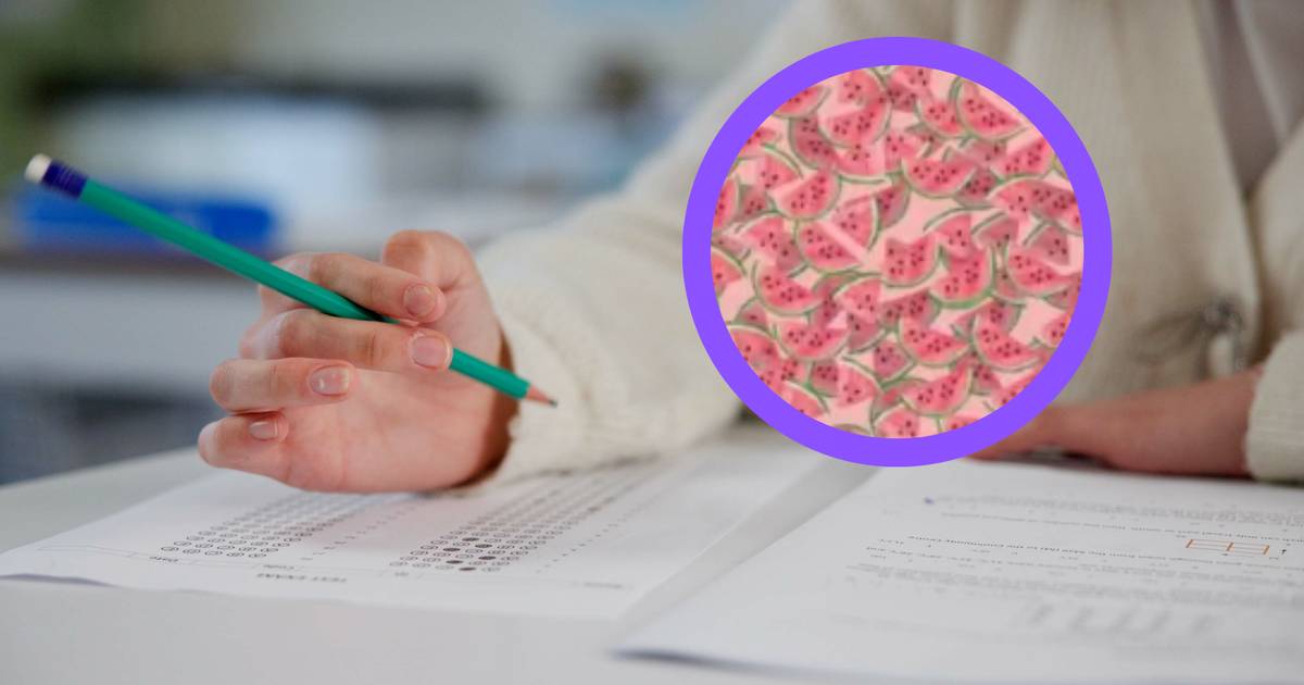 Ta iluzja optyczna podbija internet. Tylko nieliczni znajdą kawałek arbuza bez pestek w 5 sekund