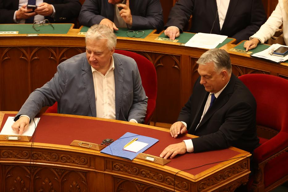 Az Országgyűlés megszavazták a státusztörvényt / Fotó:  Pozsonyi Zita