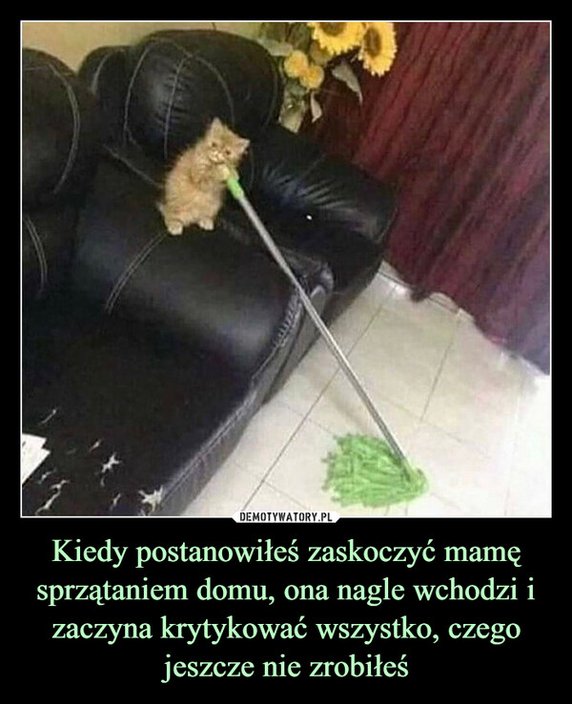 Najlepsze memy o przedświątecznych porządkach. Padniecie ze śmiechu