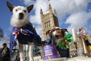 protest przeciwko brexitowi