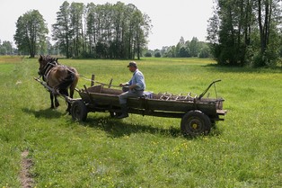 Fundusze rolne - źle wdrożony program 2004-2006