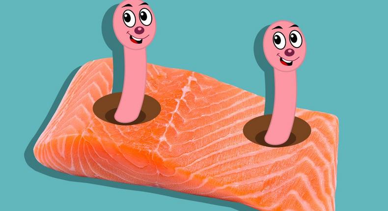 Uh-oh, your salmon might be filled with tapeworms