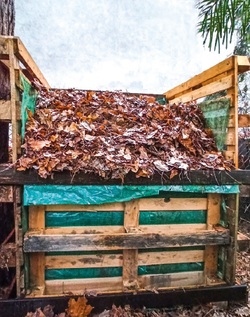 Tych roślin lepiej nie wrzucaj do kompostownika. Jak kompostować odpady skutecznie